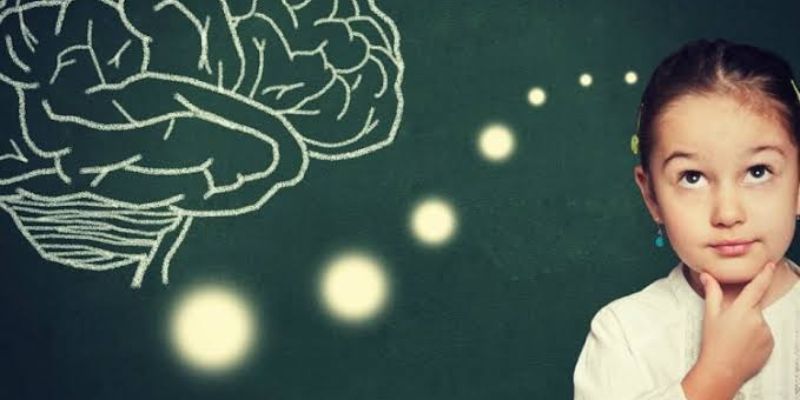 brain development in children, (2)