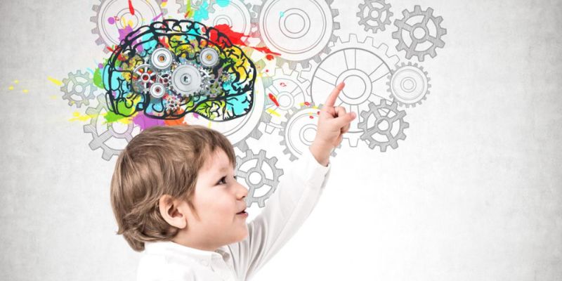 children's brain development, (2)