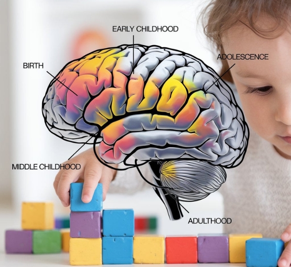 Child Brain Development in Kolkata